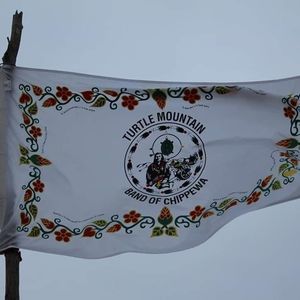 Meet your Posher, Faye